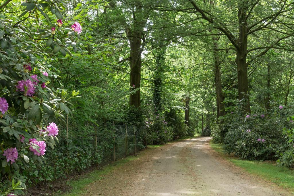 Bungalowpark Vogelenzang Vila Lage Mierde Exterior foto